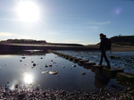 FZ010101 Pepijn crossing stepping stones at Three Cliffs Bay.jpg